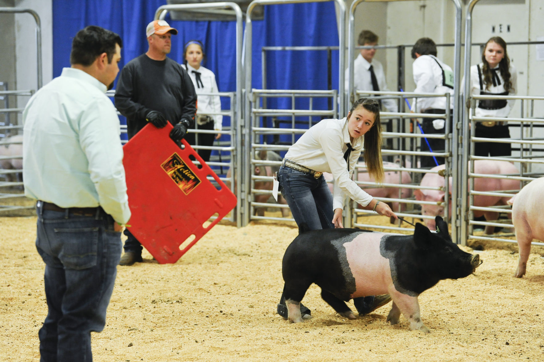 Josie Hamilton walks her pig,